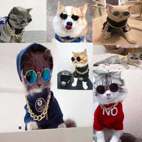 📷🔹️🐈‍⬛Gold Time Chain & Sunglasses Cat/Dog Set - Picture 3 of 9